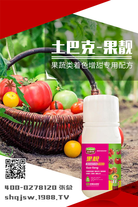 南瓜種植時間是什么時候？南瓜的播種方法及栽培技術!