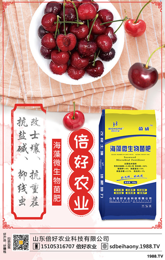 今日最新國內(nèi)復合肥市場價格動態(tài)2019-9-19