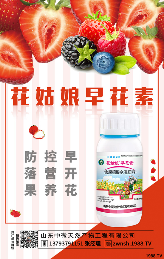 ���[���ڲ�������ЩΣ�����F(xi��n)��ԓ����A�������[���ڲ����A����ʩ