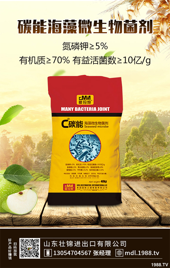 ���[�ϰ߲�����ЩΣ�������������������[�ϰ߲��ķ��δ�ʩ