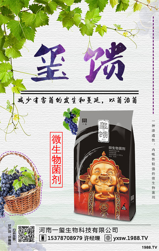     �������ӷNֲ�{ݮ���Nֲ�{ݮ��(y��ng)ԓע��ʲô��