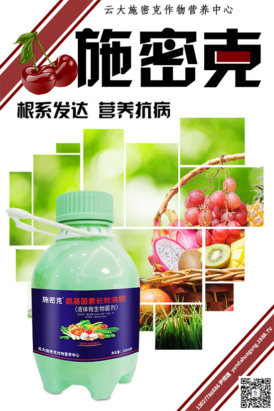 ���[˪ù��Σ���޴����������������������[˪ù�����δ�ʩ