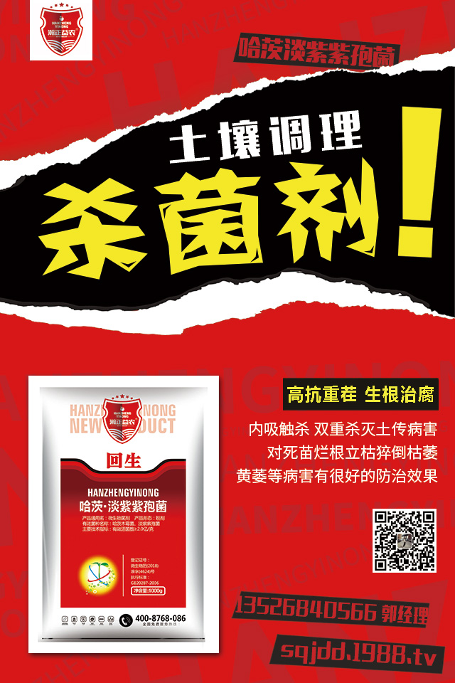 �������߲�Σ�������������߲����μ���