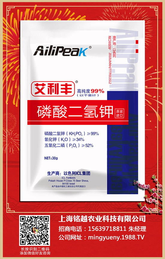 ������ηNֲ�������Nֲ������ע�������