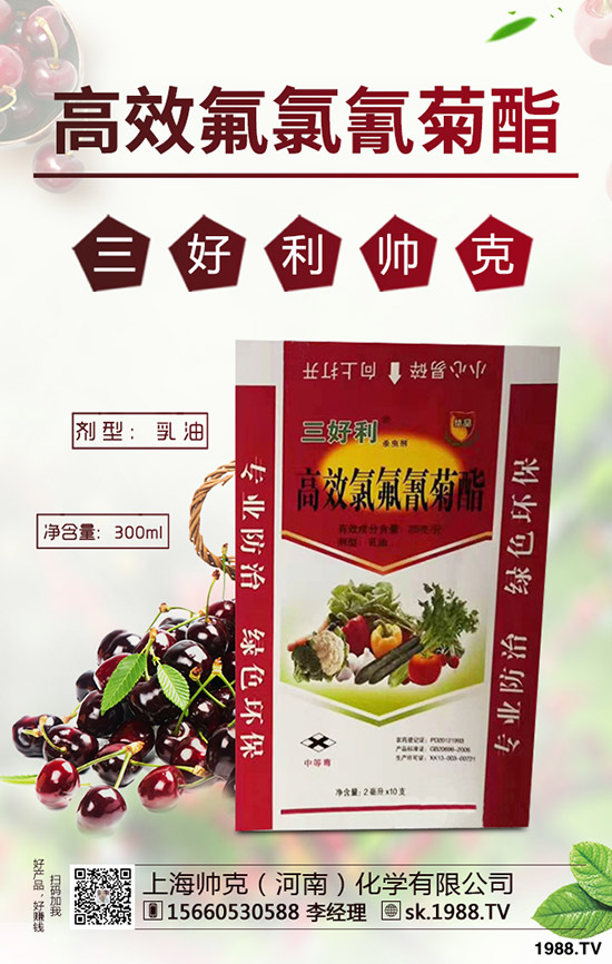 辣木樹的種植前景如何，如何種植辣木樹？