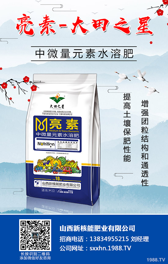 �＾�߲�����������＾���õ������С���������g(sh��)��