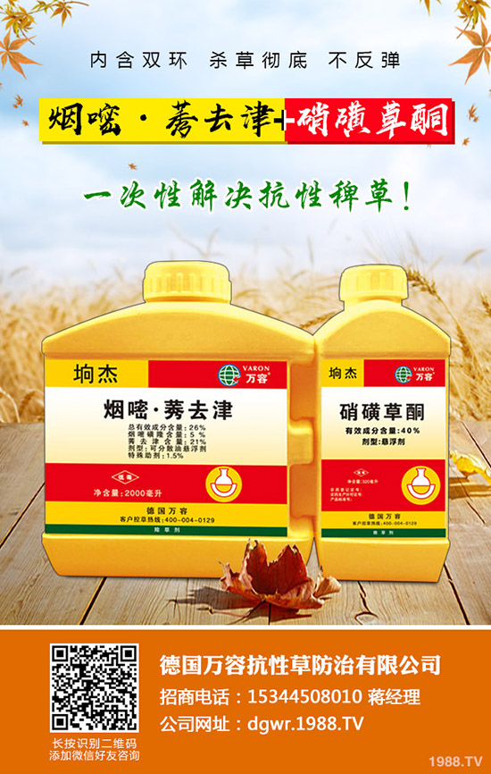 ��������ô�޽ӣ�������޽ӷ�����