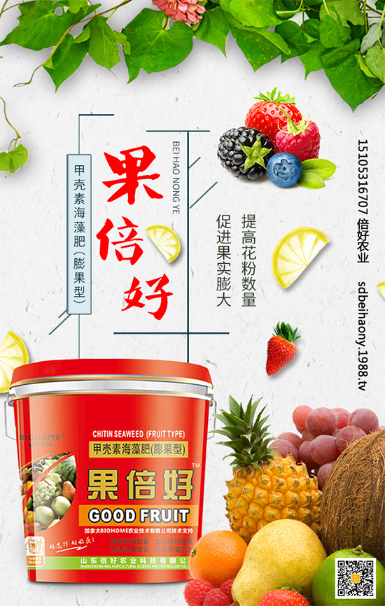 圣女果什么時(shí)間種植？圣女果種植技術(shù)要點(diǎn)有哪些？