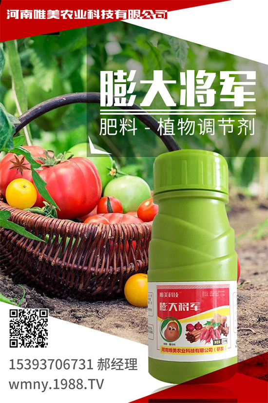 �＾���ҵĹ����(n��i)�ݣ��＾�����߲˷Nֲע�����(xi��ng)��