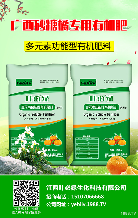     �㶹���ճ������г�Ҋ���߲ˣ��I�B(y��ng)�r(ji��)ֵ�S���������˂�ϲ�������㶹�Nֲ�^�����y���(hu��)���F(xi��n)һЩ���������u�������㶹�P���Ƿǳ���Ҋ��һ�N����������r(sh��)���ξ͕�(hu��)��(d��o)�º��m����(y��n)�؜p�a(ch��n)����ô���㶹�P������ЩΣ���Y������ԓ��η��Σ�