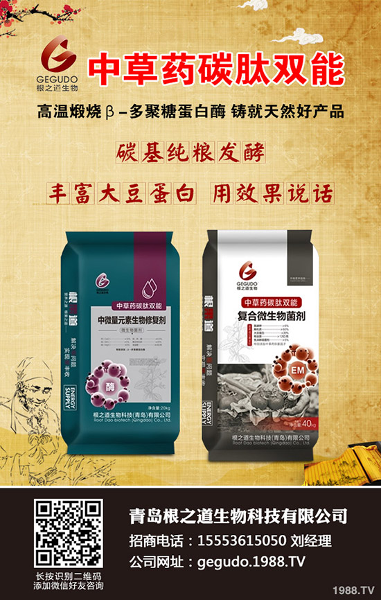     ����ʮ����ʲô����ע�����(xi��ng)�����ӹ���������10�¹���ָ��(d��o)���h��