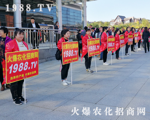 2019�|����ʡֲ����(hu��)�����r(n��ng)�����̾W(w��ng)����������