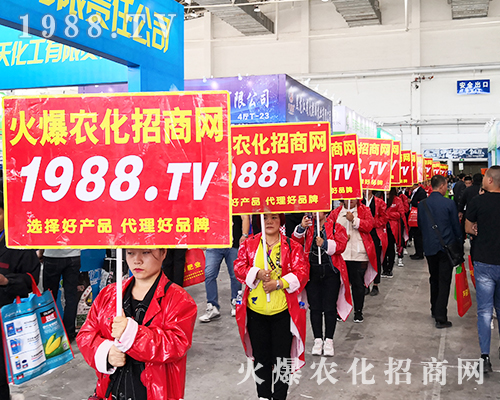 2019�L(zh��ng)��ֲ����(hu��)�����r(n��ng)���W(w��ng)�����ƏV��(sh��)���ɓ���