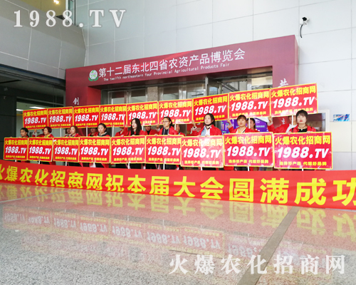 �����f�ɣ����r(n��ng)���W(w��ng)����(zh��n)2019�L����ʮ���Ö|����ʡֲ������