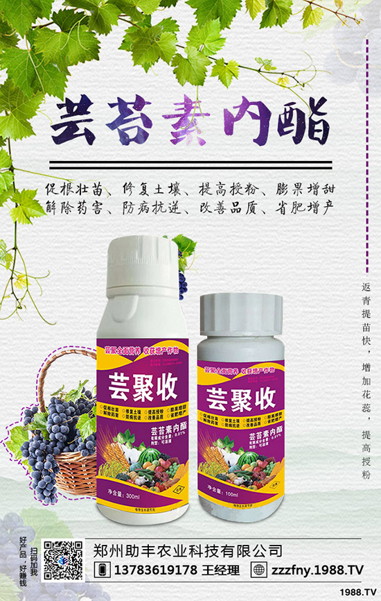 �J�������ժ�����J����ժ����ʲô��̎��