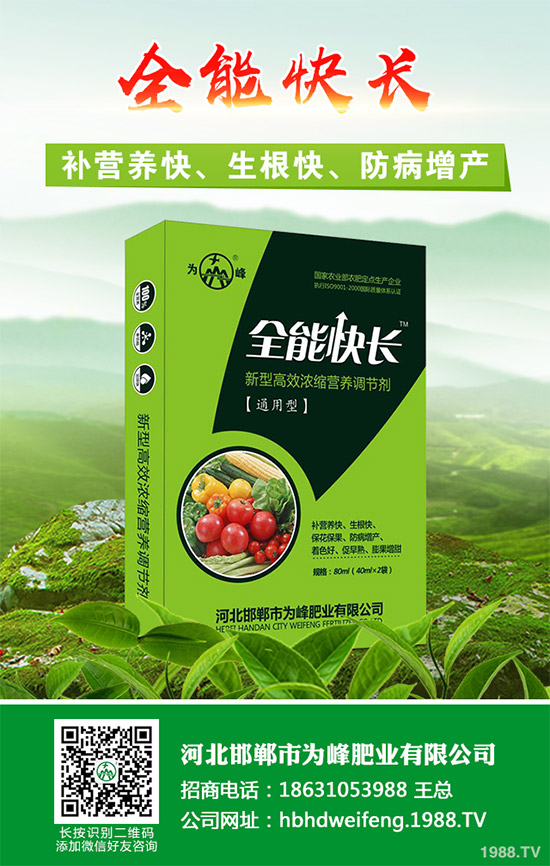 ����������Щ��̎������Ĺ�Ч���ü�ʳ�ý���