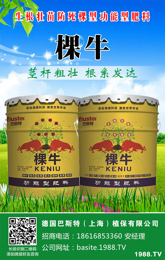 ���[���ʩ�������[�ƌW(xu��)������ʩ�ʷ�����