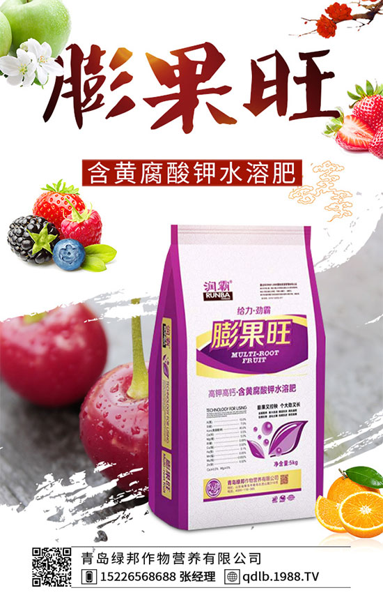 �¼����ڰ߲��İY�����¼������Ϻڰ߲���ô����