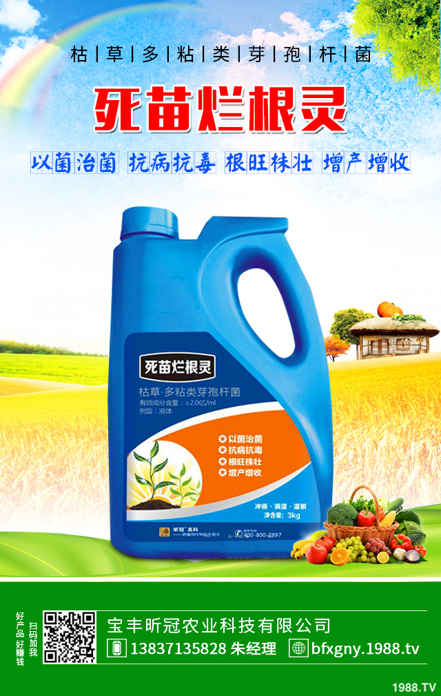 �۲˺��ĸ�����ô�������۲˺��ĸ���Ҫ���Y����