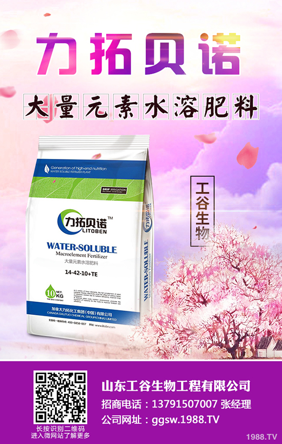 2019年9月3日今日局部區(qū)域尿素市場(chǎng)行情分析