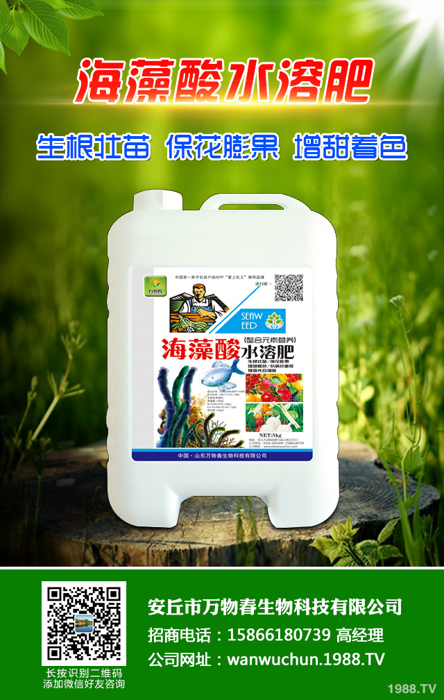 �ﲥС����ô����|(zh��)�����ﲥС������|(zh��)����Ҫ�c(di��n)