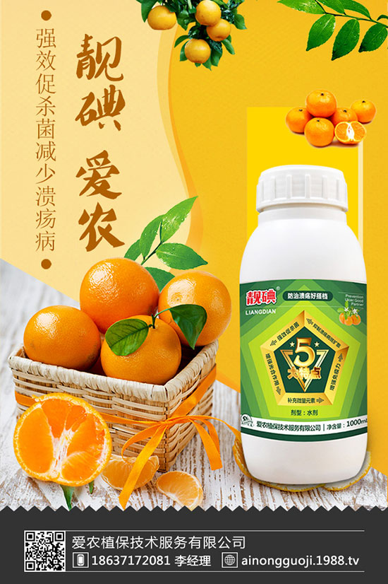 ���m����ηNֲ�����m���Nֲ�r(sh��)�g��������