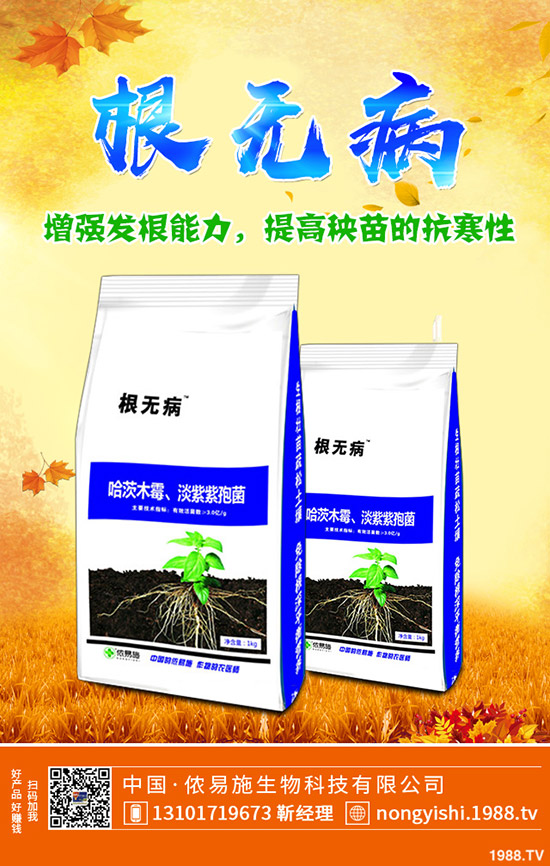     ���c��(ji��)ǰһ�@��؛������������һ�@�����߄��A�y2019-9-30