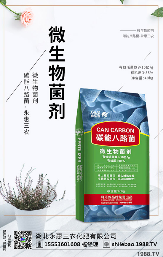     2019��9�µ�һ�������ȏͺϷʃr�������߄��܈�