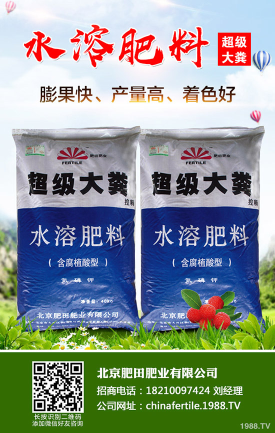 ��ݮ���˼t������������ô�k����ݮ�t�����������R�e�����ͷ�����