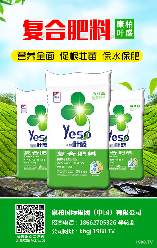 �۲˰߿ݲ�����ЩΣ���Y�����۲˰߿ݲ���Σ��������