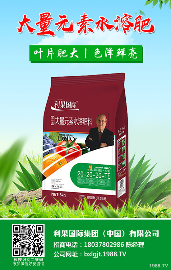     芹菜斑枯病有哪些危害癥狀？芹菜斑枯病的危害及防治