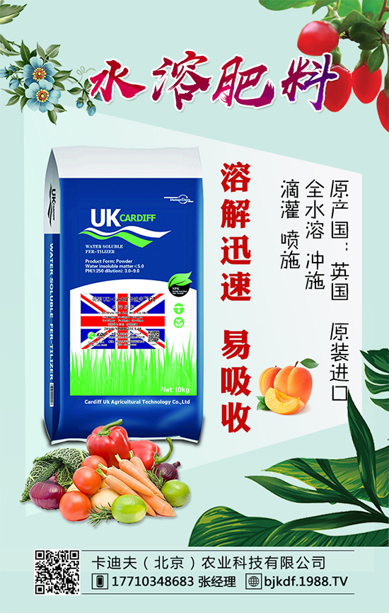 �S����Ҫ��ô�Nֲ���S���ˌ�(du��)�h(hu��n)���l����Ҫ����