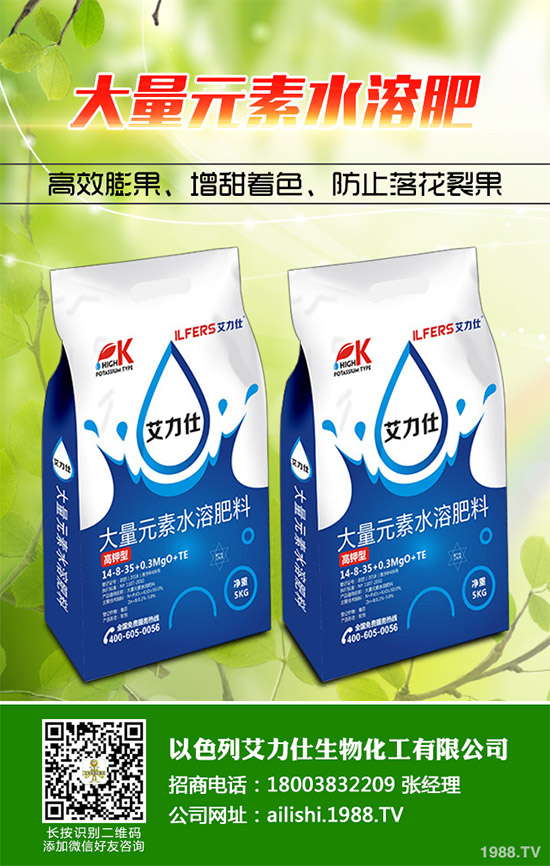 �۲˸���������ΰl(f��)������ԓ���ӷ����������������