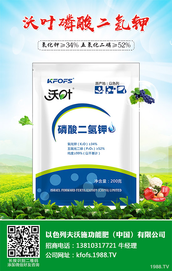 �۲˲���������ЩΣ����ԓ��η��Σ��۲˲�������Σ���c����