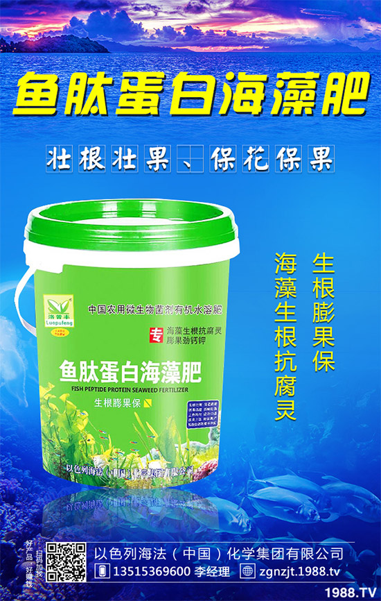 �۲˲���������ЩΣ����ԓ��η��Σ��۲˲�������Σ���c����