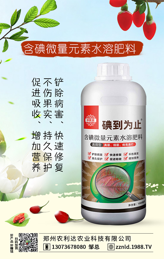 �����m�ĿƌW(xu��)ʩ�ʷ��������˽�᣿