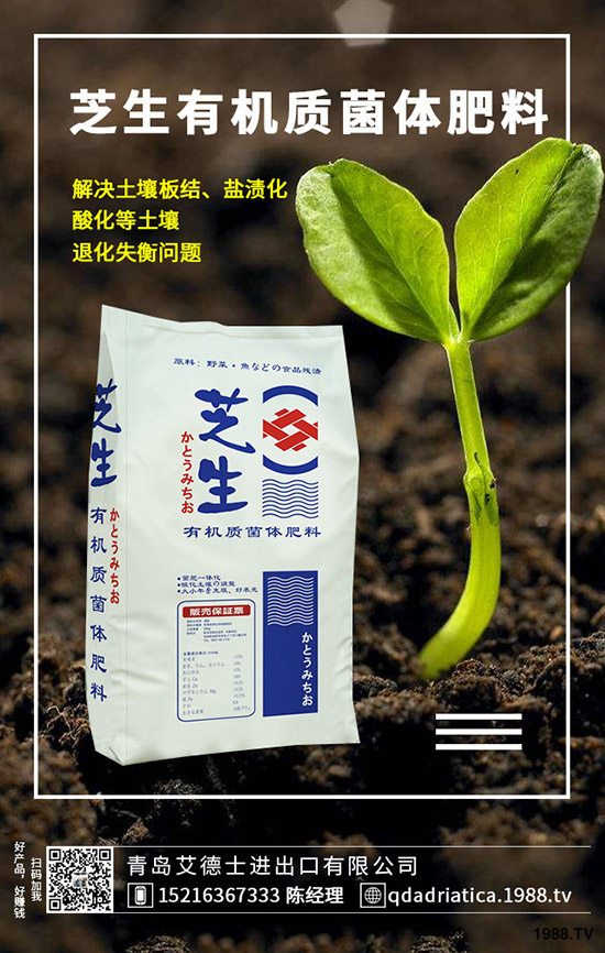 ��������Щ�I�B(y��ng)�rֵ�����ҵĹ�Ч�c������ʲô������xُ��