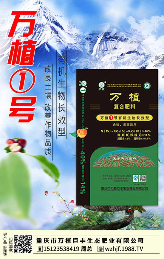     �R����ĩ�����@�Ј��������f������2020-1-4�������¶��@�r(ji��)�����(b��o)��