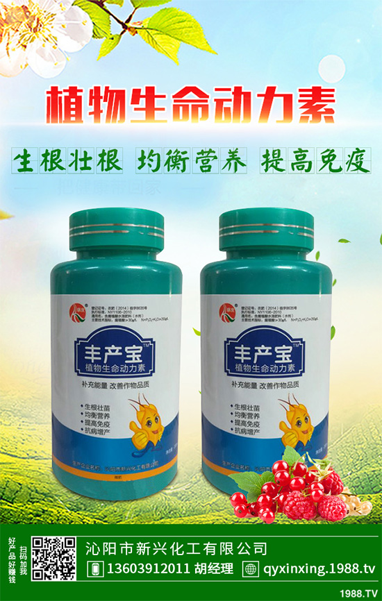 ���Ӳ��ܷN�ô�ײ�����ײ˸߮a(ch��n)�Nֲ���g(sh��)Ҫ�c