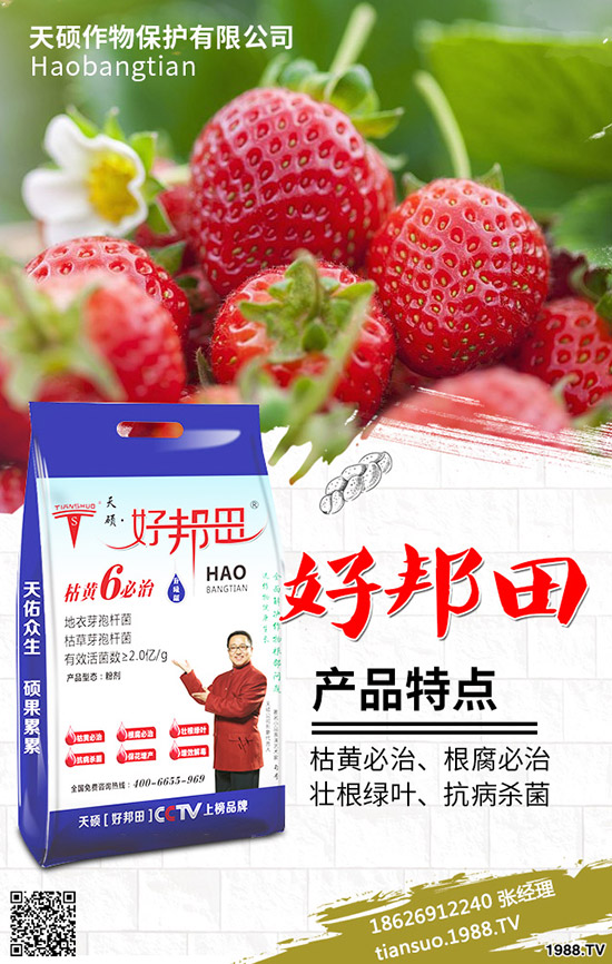 2020���r(n��ng)��Nֲʲôˮ��ٍ�X(qi��n)����Щ�N����(sh��)Ʒ�N���^����