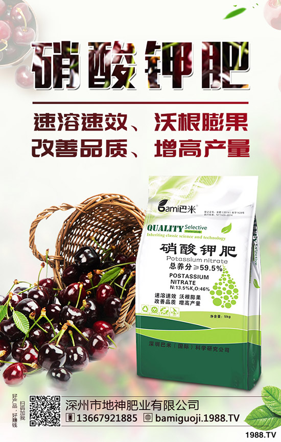 �t������r�g��ʲô�r�����t�����緽������Щ��