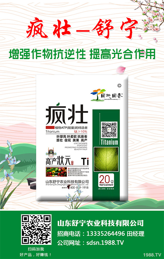 �Nֲ�㹽��ҪͶ��������㹽�Nֲ�ɱ���������