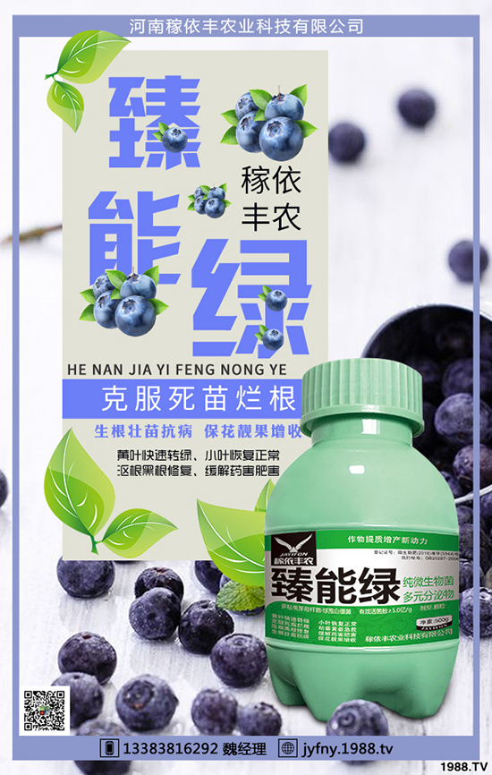 冬季大棚蔬菜如何應(yīng)對天氣變化，冬季大棚蔬菜管理要點！