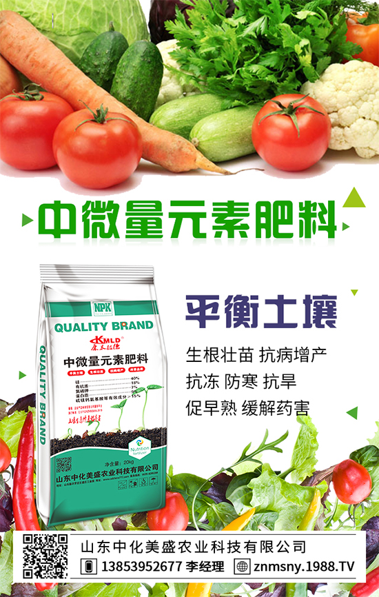 ������ݮ��ô����������ݮ������ʩ��