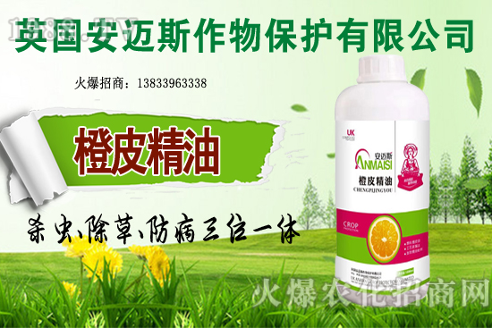 10�·Nֲ��Щ�߲˸����m�����g����Ҫ���c(di��n)ץ���Ď��c(di��n)��