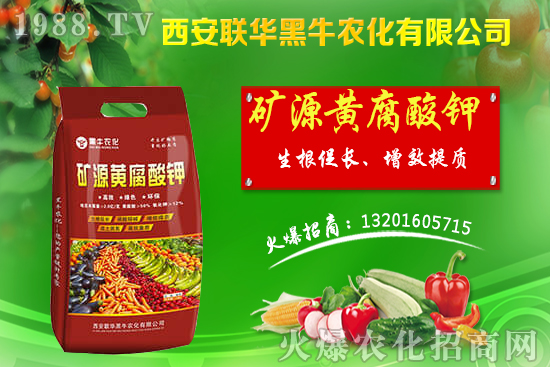 �＾����ԓ��ι������＾������푪(y��ng)������Ĵ��`�^(q��)��