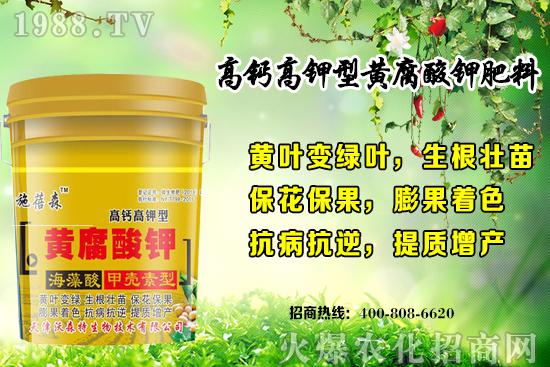 ��ݮ���L��(du��)�h(hu��n)��Ҫ������Щ���＾��ݮ��ֲע�����(xi��ng)�͹�����ʽ��