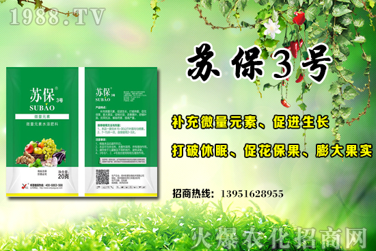 大棚黃瓜應(yīng)該在什么時(shí)候施肥?大棚黃瓜底肥施用的3個(gè)誤區(qū)!