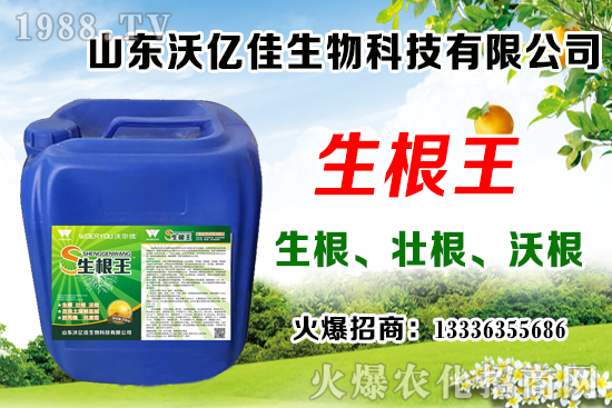 Ӱ푲�ݮ��ѿ�ֻ���������Щ����ݮ��ѿ�ֻ����c��ֲ����Ҫ�c(di��n)��