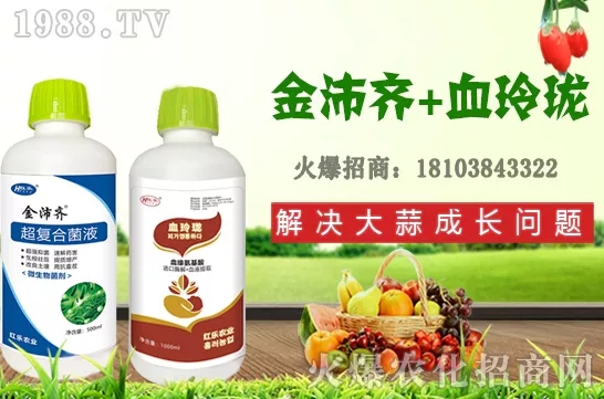 四季石榴生長習(xí)性有哪些,四季石榴栽植技術(shù)及花果期管理!